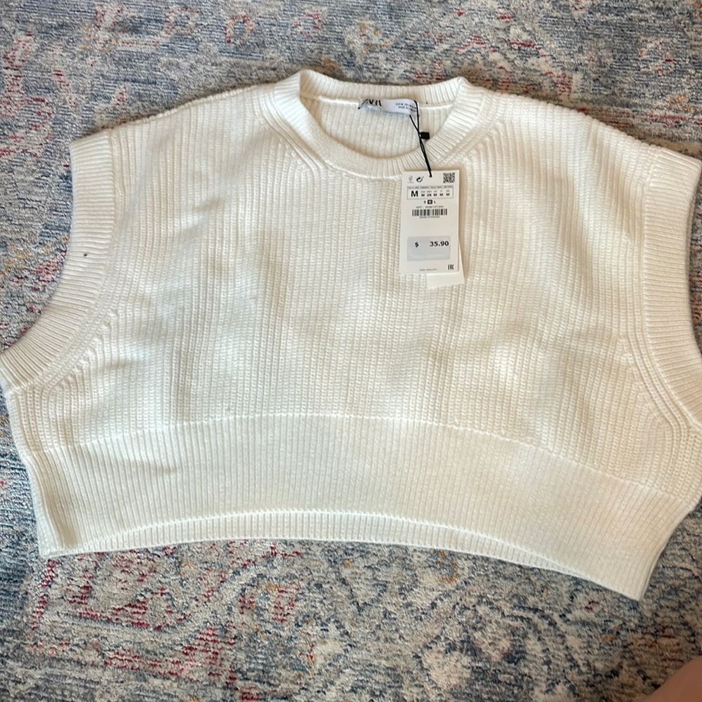 Zara sweater vest